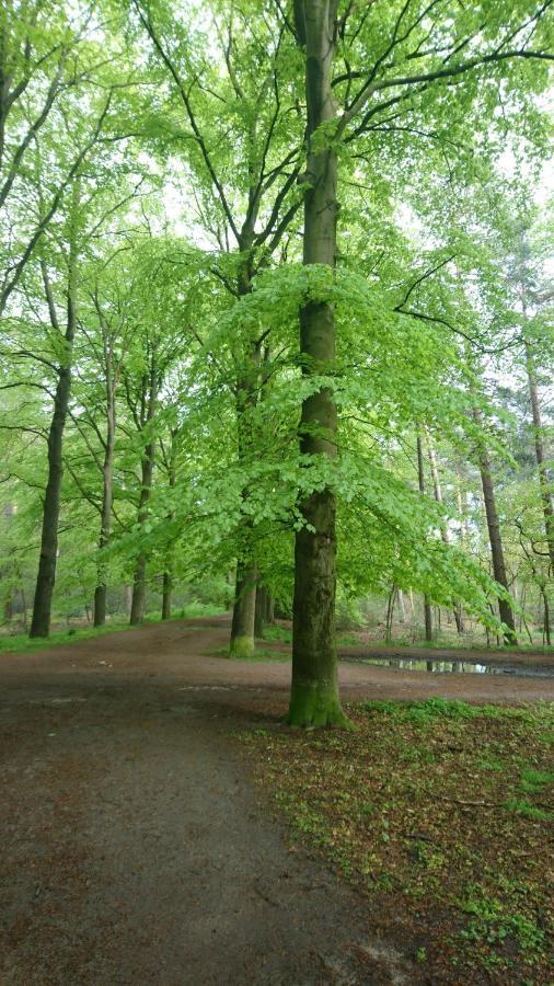 Overbosch Bilthoven Zewnętrze zdjęcie